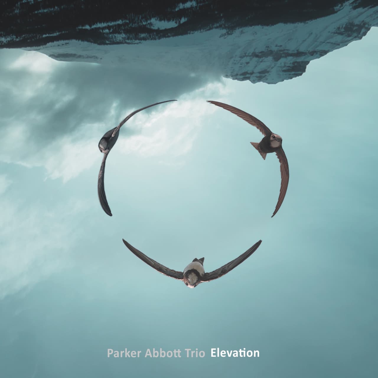 Parker Abbott Trio – Elevation