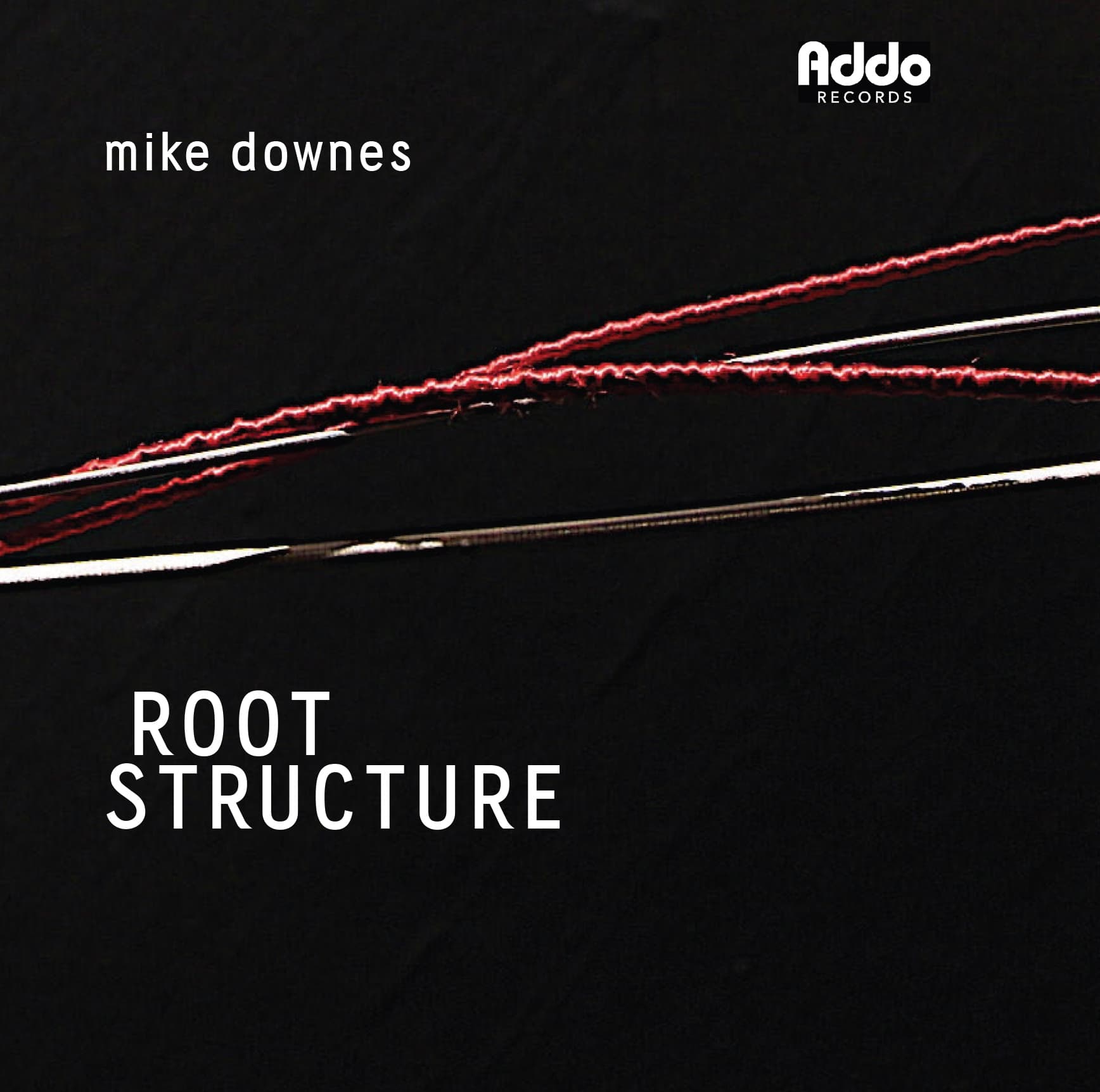 Mike Downes – Root Structure