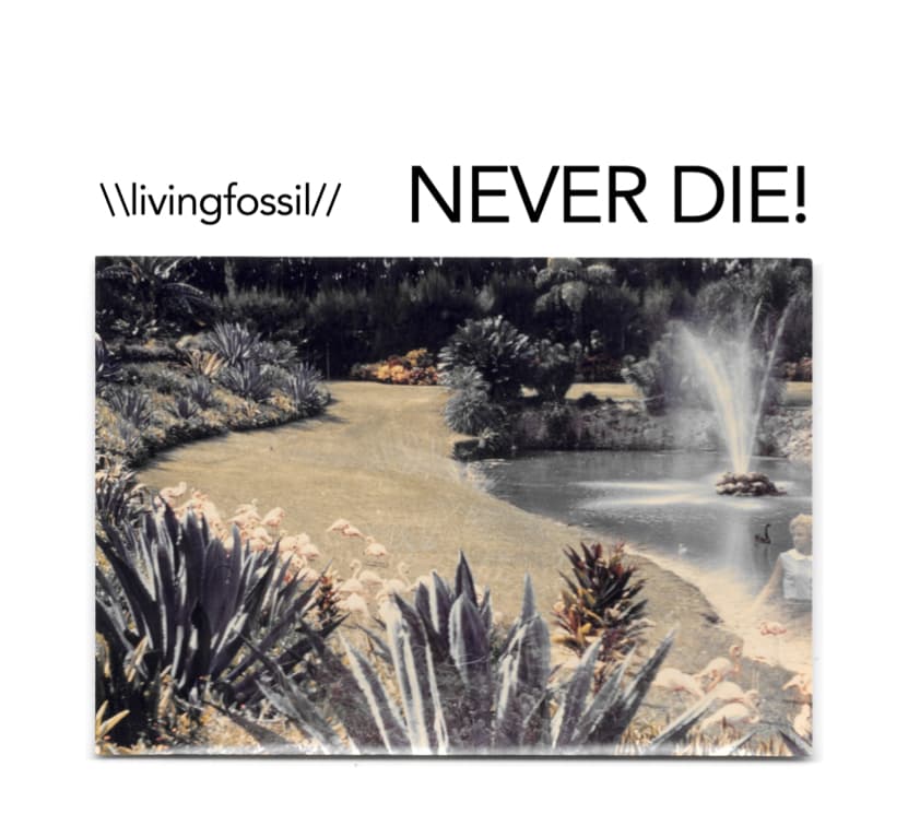 \\livingfossil// – NEVER DIE!