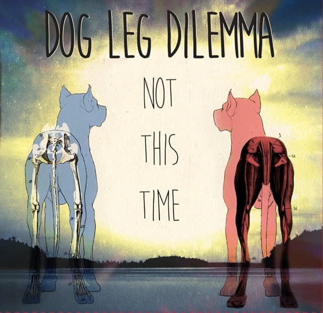 Dog Leg Dilemma – Not This Time