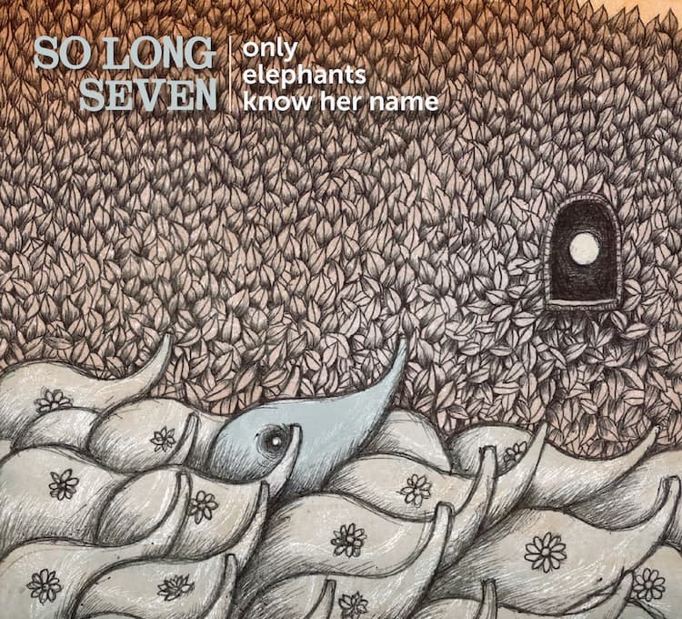 So Long Seven – only elephants know her name