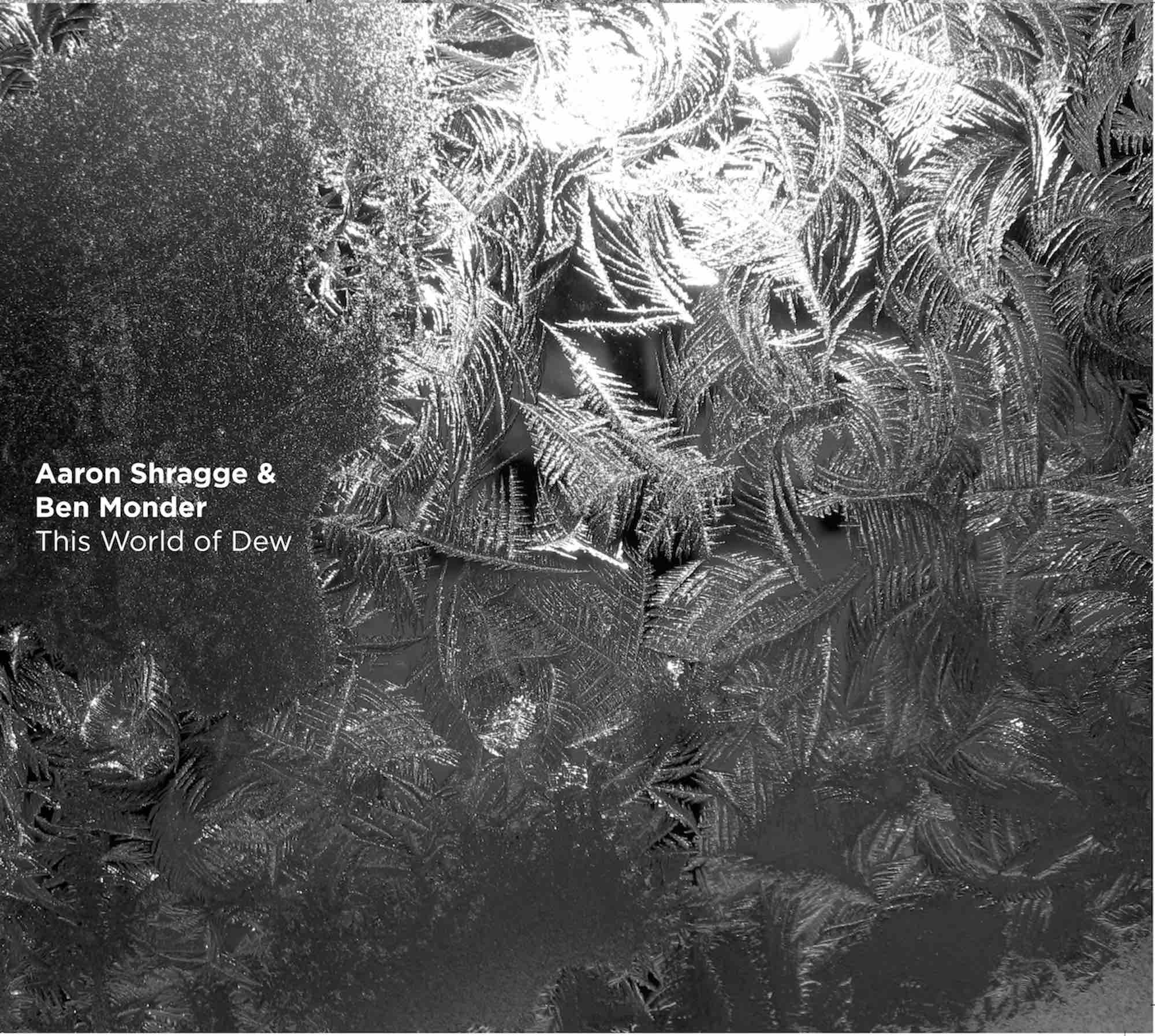 Aaron Shragge & Ben Monder – This World of Dew