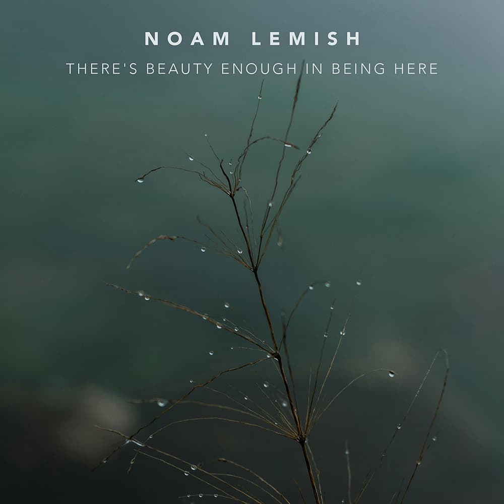 Noam Lemish – There’s beauty enough in being here